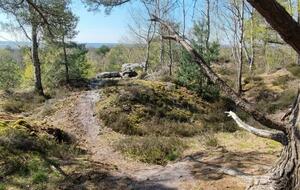Sortie VTT Ermenonville