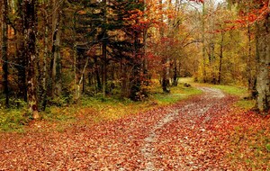 Sortie VTT canal ourq 