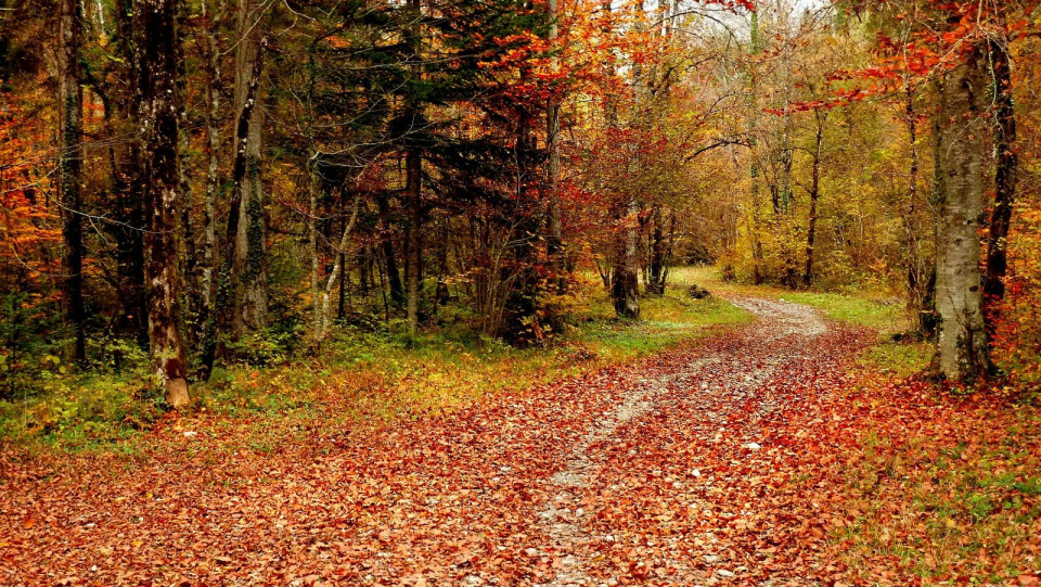 Sortie VTT Ermenonville